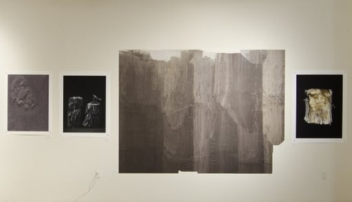 Change_Seed_Install__NCD9225-607x349-1