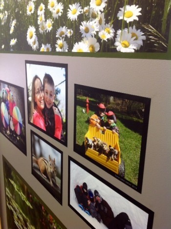 Elizabeth's Art Gallery