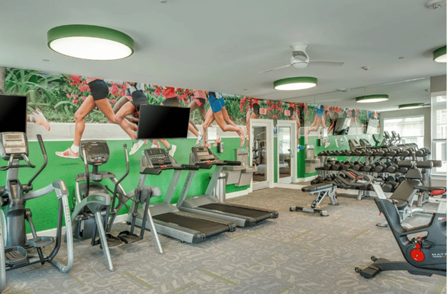 Caviar Wall and Floor Wrap gym walls and floors