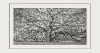 Kari Douma's National Sunset Print Award winning image, 